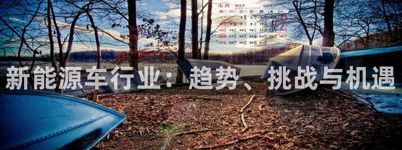 下载新宝gg:新能源车行业:趋势、挑战与 下载新宝gg:新能源车行业:趋势、挑战与