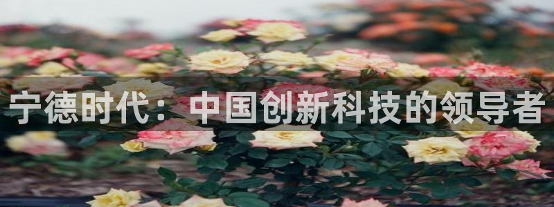 新宝gg主管baidu:宁德时代:中国创 新宝gg主管baidu:宁德时代:中国创